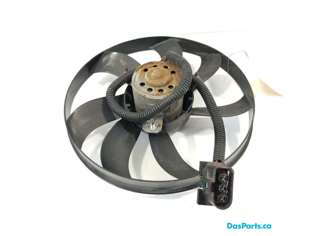 Rad Fan RF