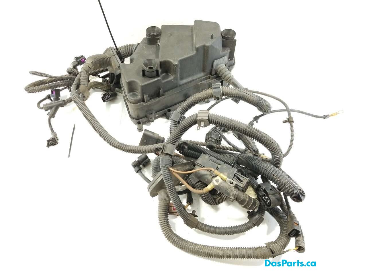 Engine Bay Harness