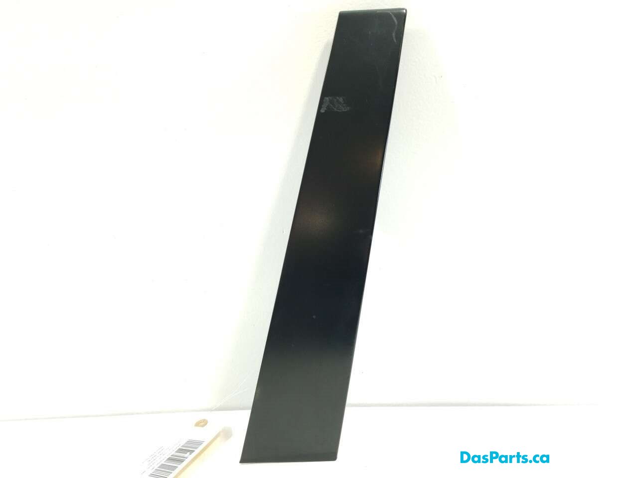 Exterior B-Pillar Trim LF