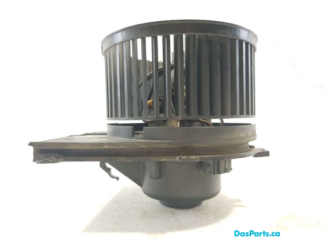 Blower Motor