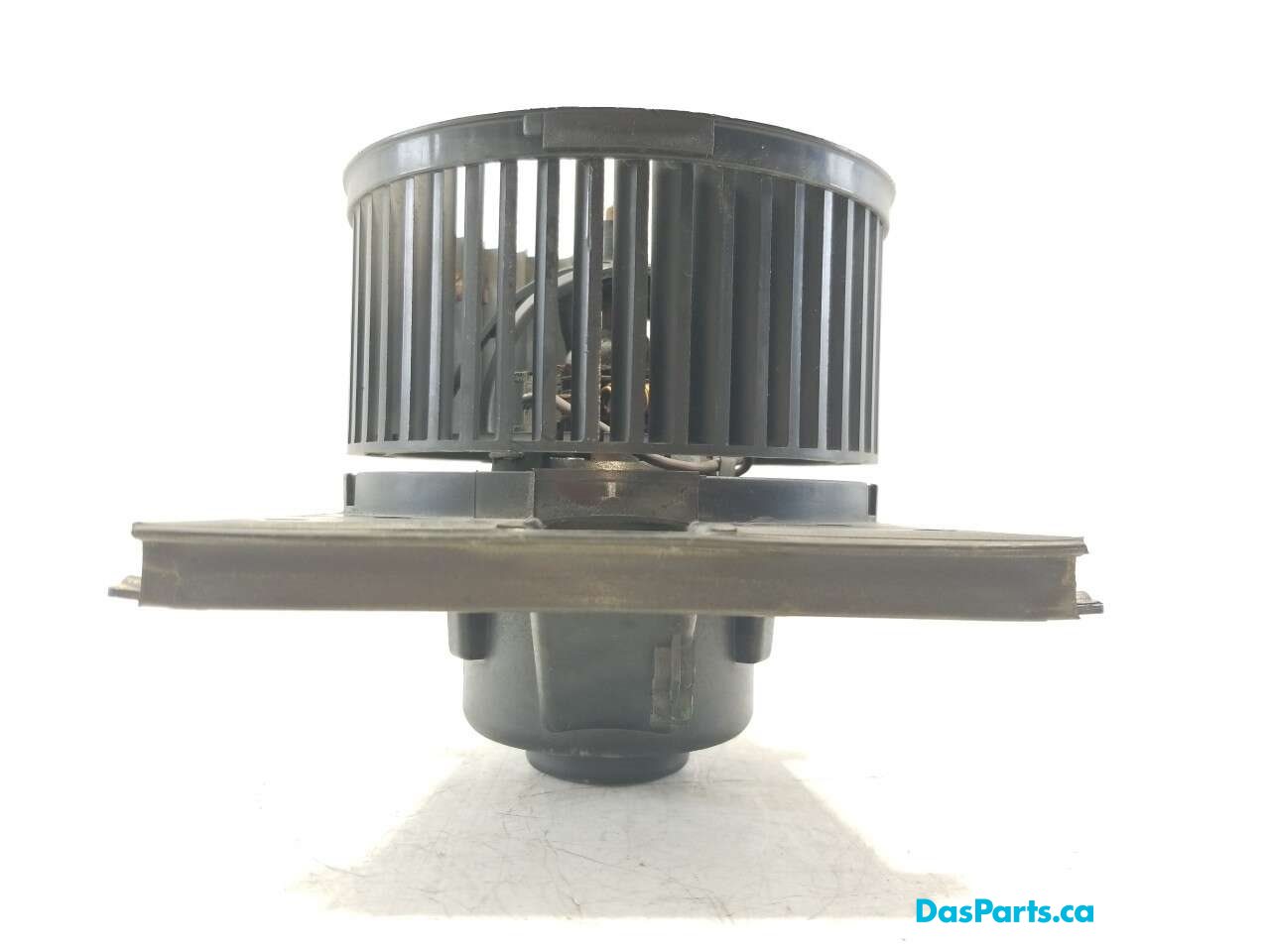Blower Motor