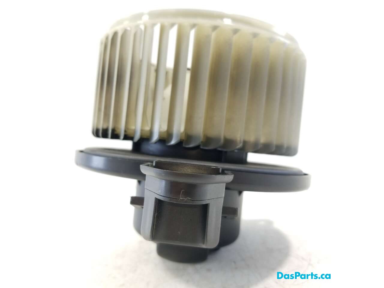 Blower Motor