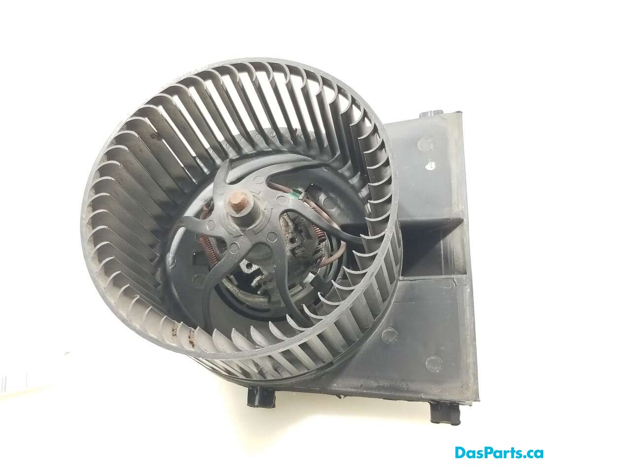Blower Motor