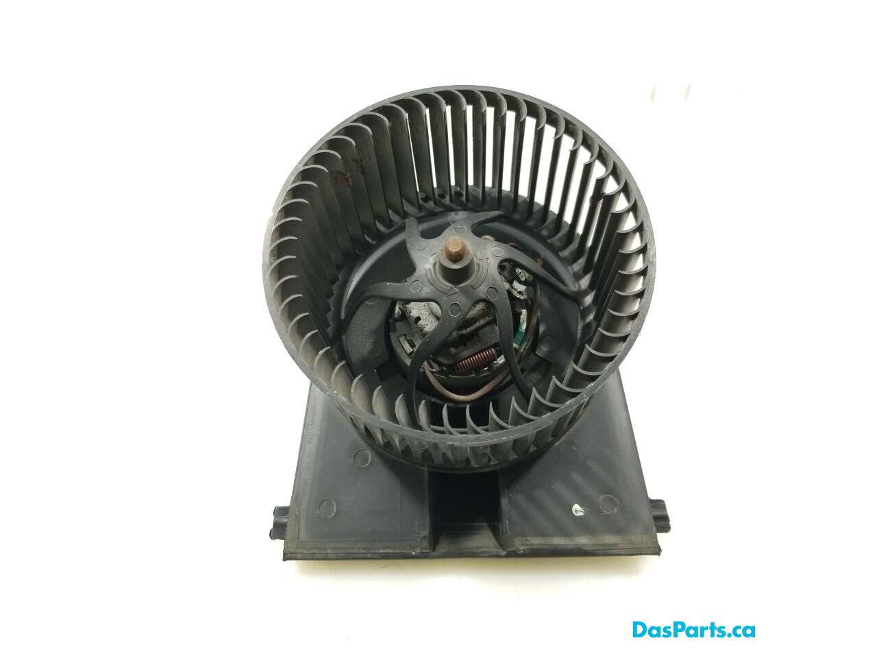 Blower Motor