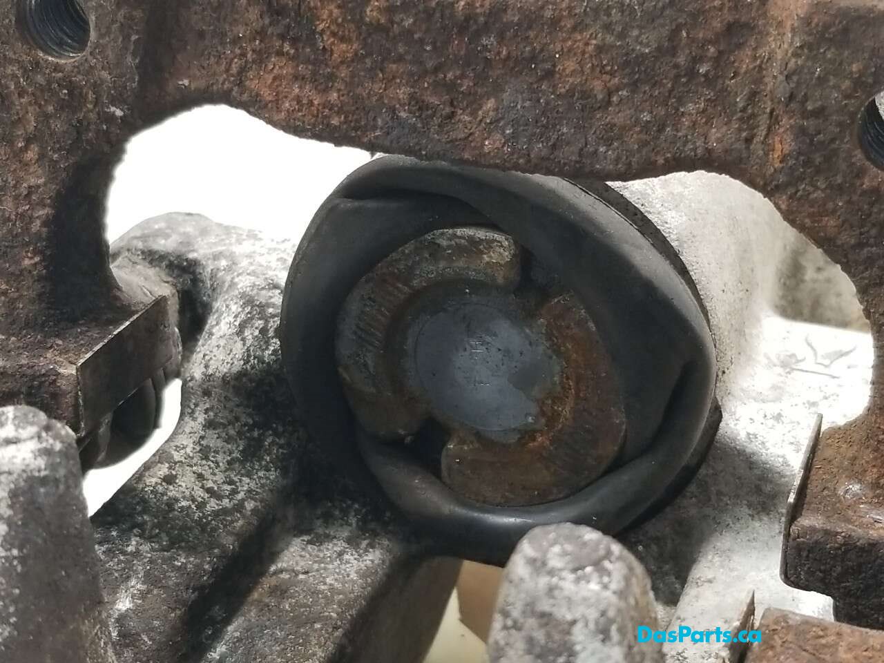 Caliper RR