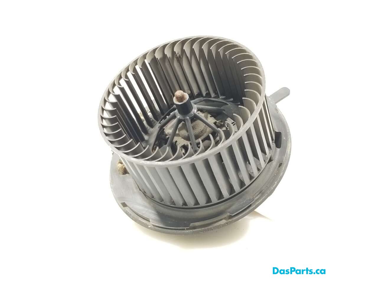 Blower Motor