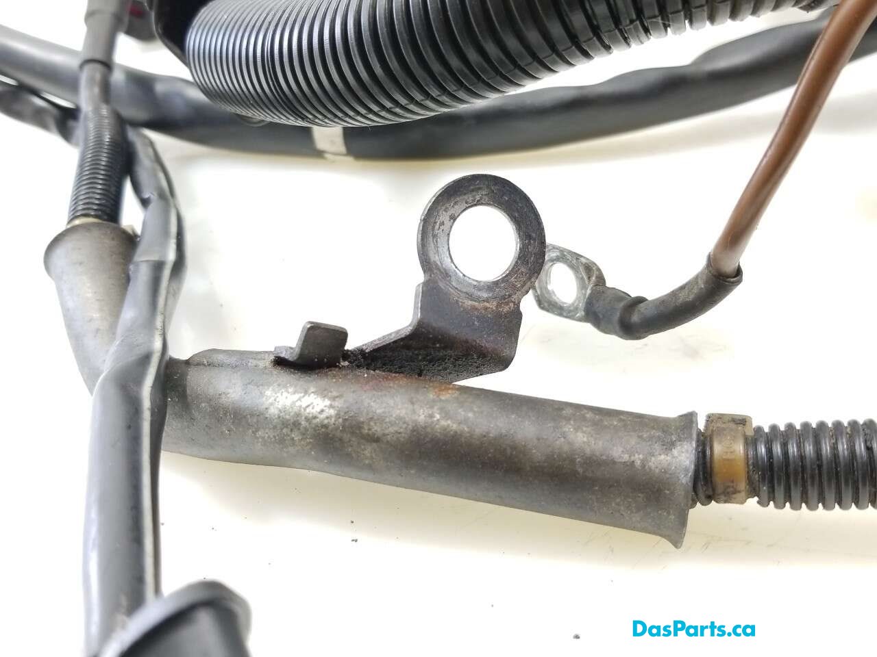 Alternator Harness