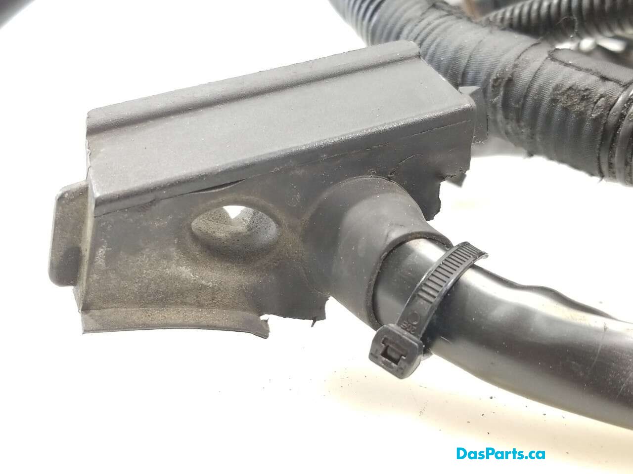 Alternator Harness