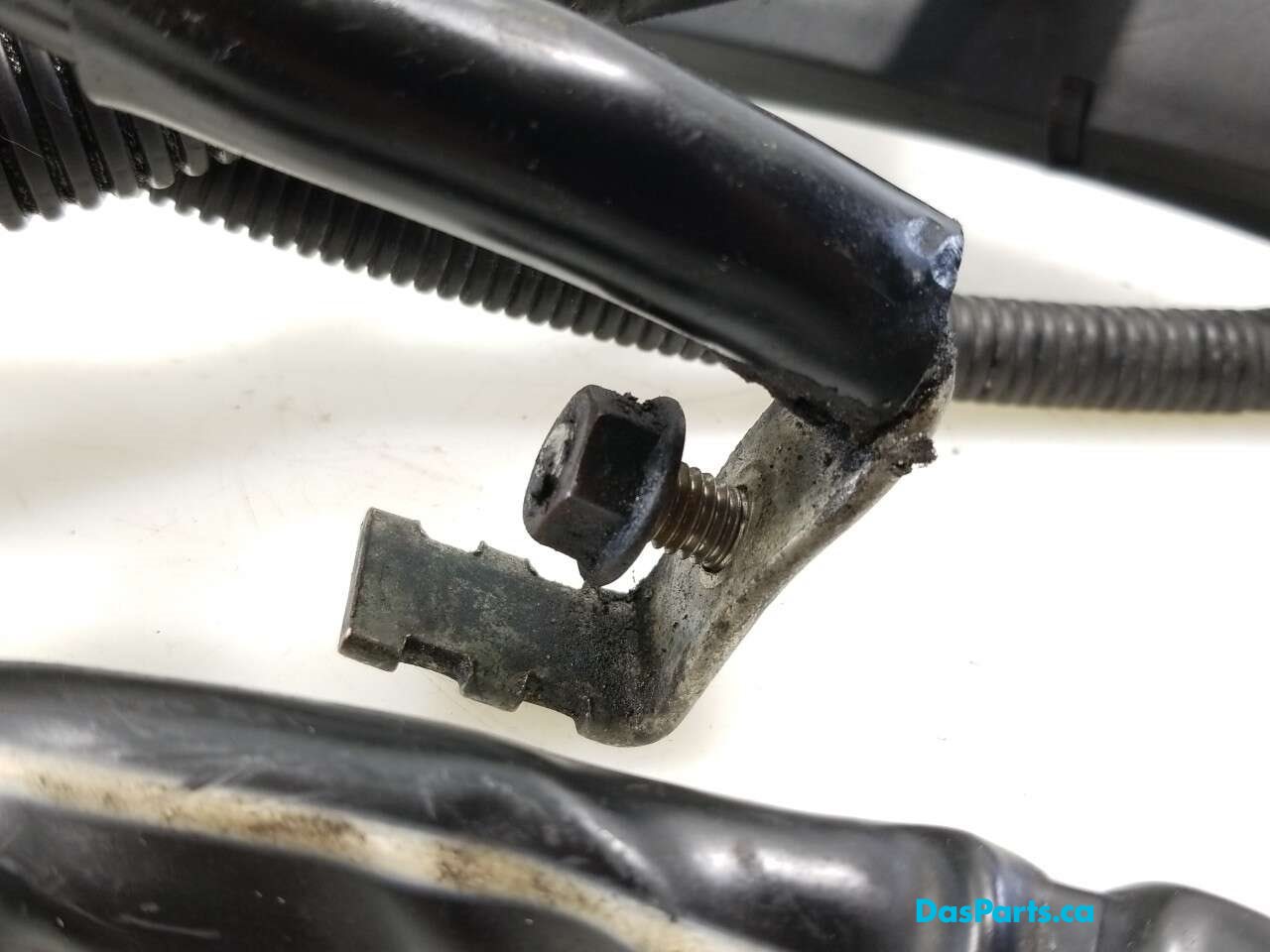 Alternator Harness