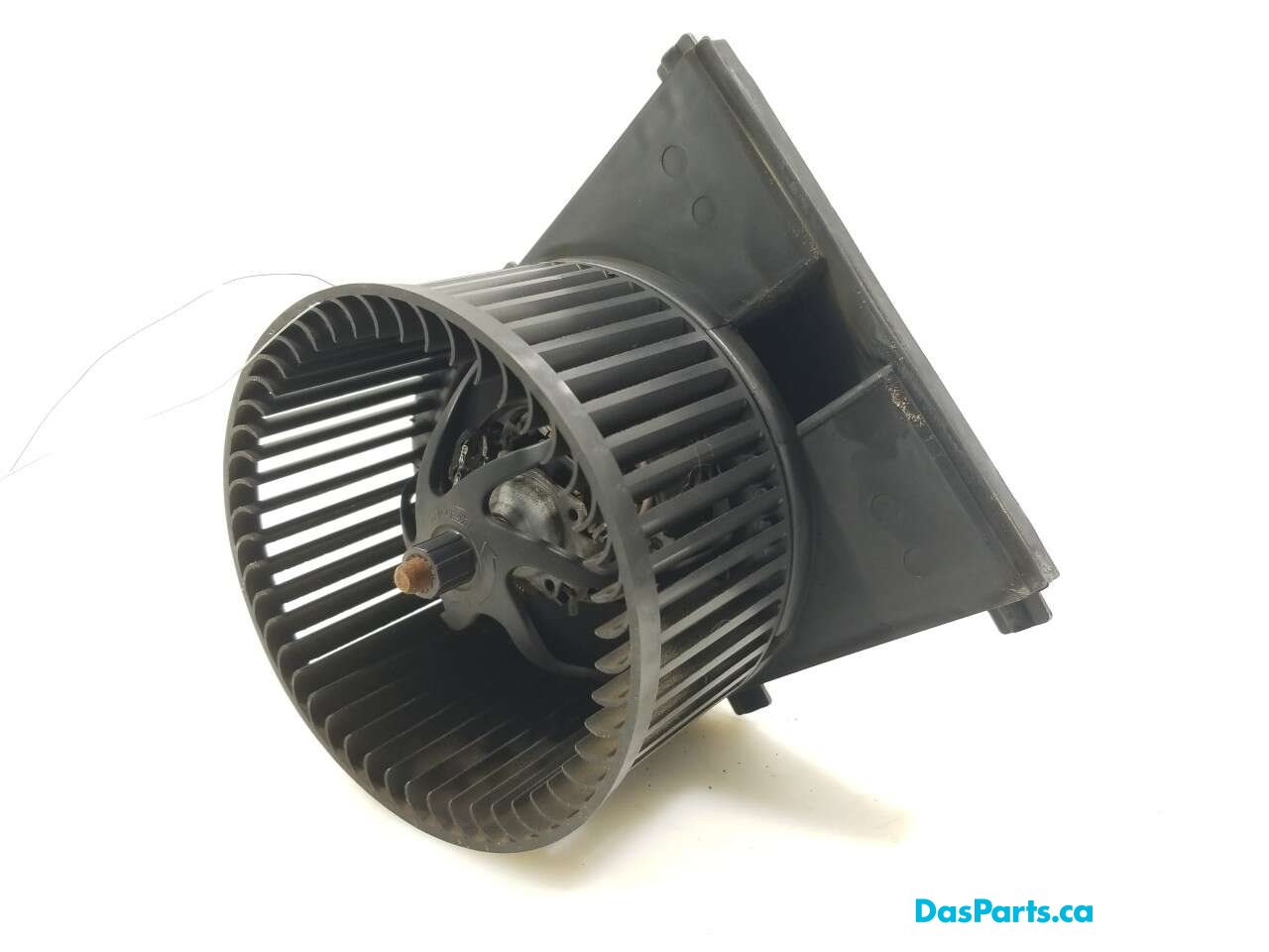 Blower Motor