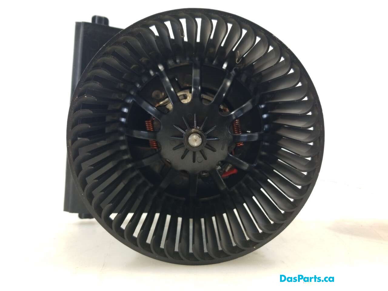 Blower Motor