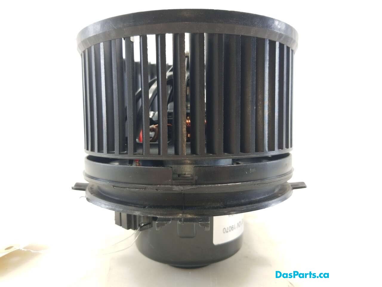 Blower Motor