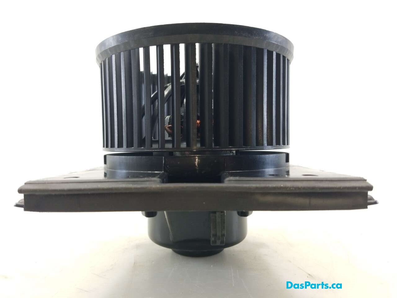 Blower Motor