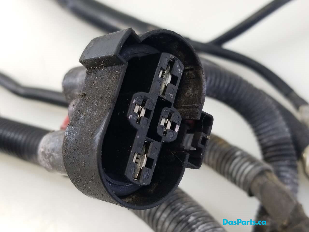 Alternator Harness