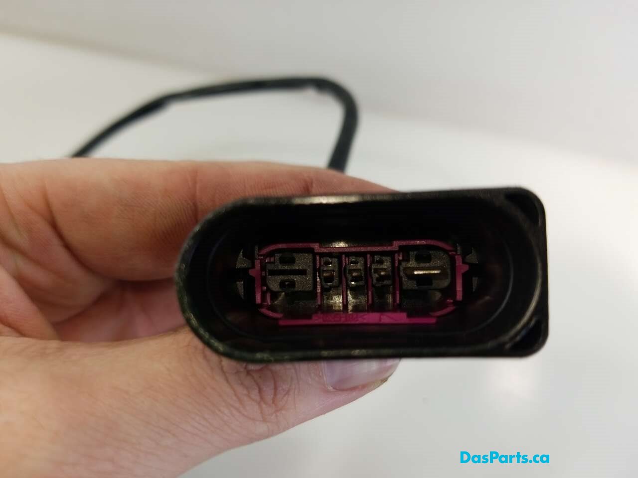 Alternator Harness