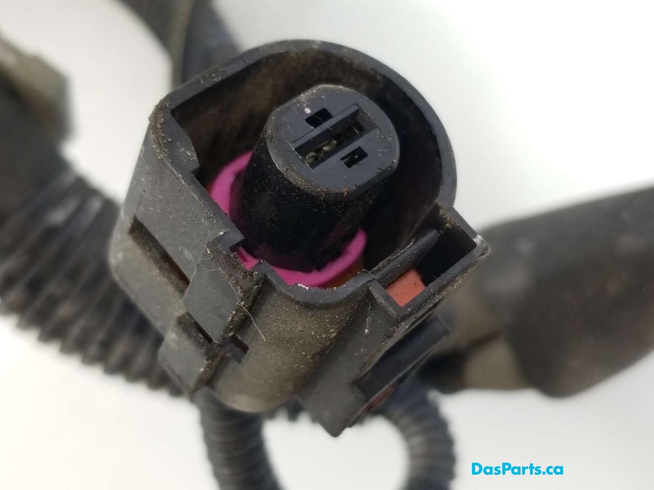 Alternator Harness