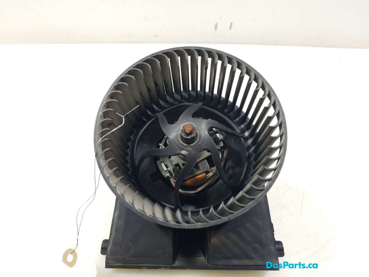 Blower Motor