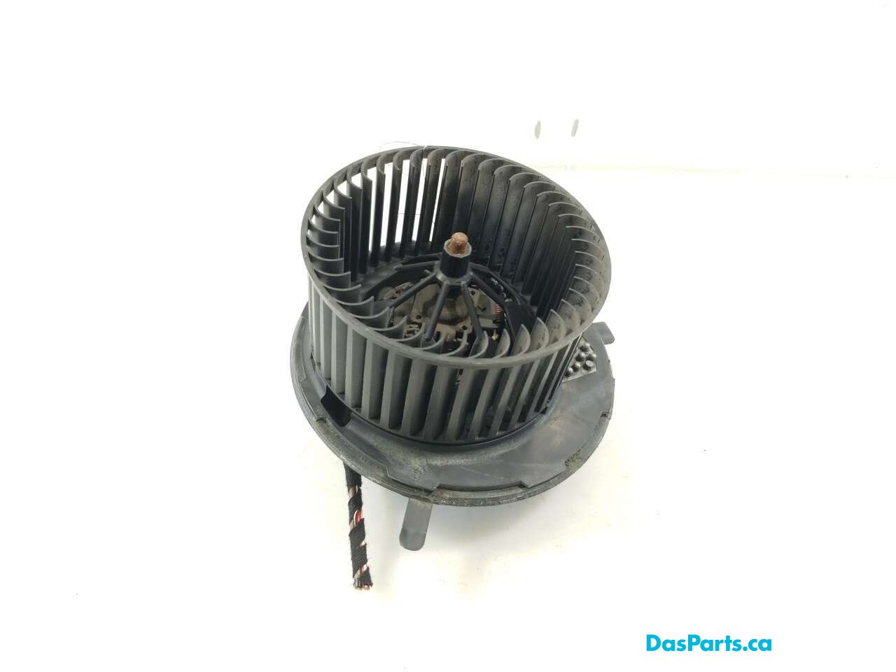 Blower Motor