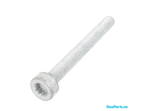OEM Caliper Bolt - N 911 837 01