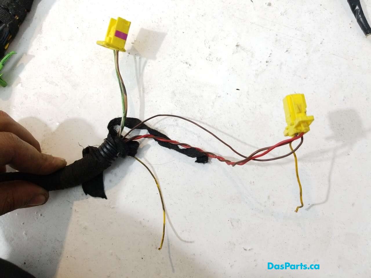 Body Harness