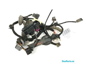 Door Harness RF 1