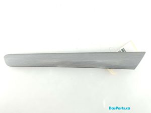 Door Trim LF