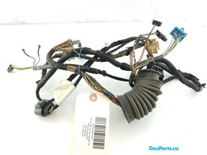 Door Harness RF 1