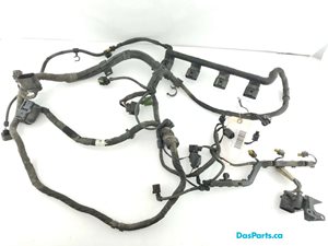 Main Engine Harness