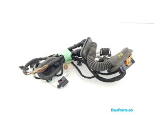 Door Harness RR 1
