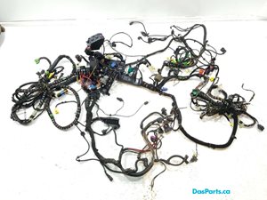 Body Harness