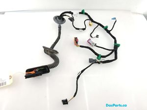 Door Harness LF 1