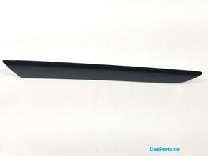 Door Trim RR