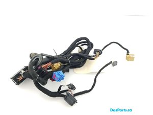 Door Harness LF 1