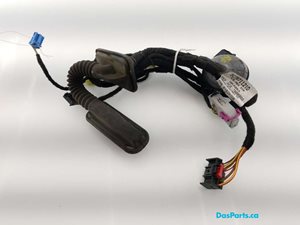 Door Harness RF 1