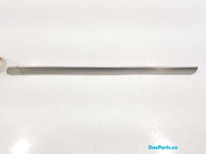 Dash Trim 1