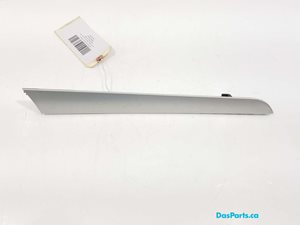 Door Trim RR