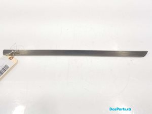 Dash Trim 1