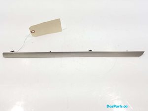 Dash Trim 1