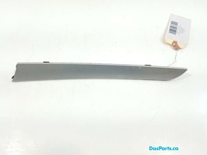 Door Trim RF