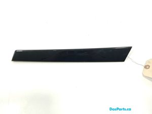 Door Trim LR