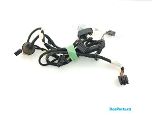 Door Harness RF 1