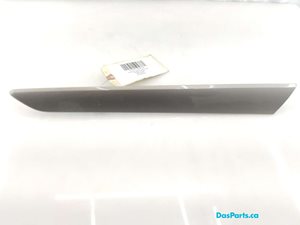 Door Molding LR 1