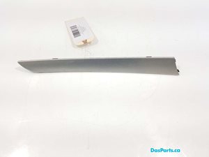 Door Trim LF