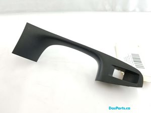 Door Trim RR