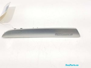 Dash Trim 1